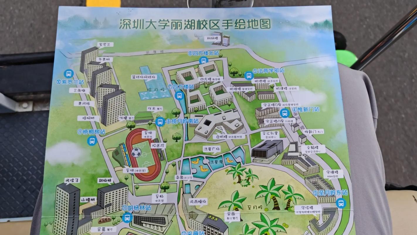 深圳大学  在哪个区