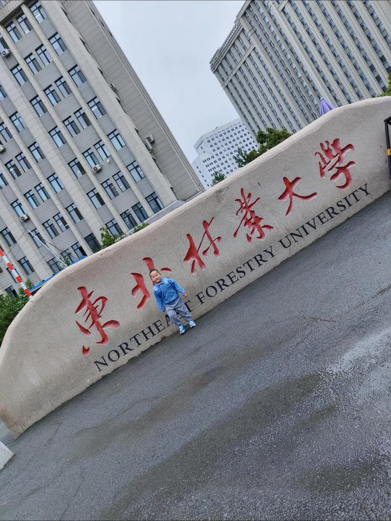 怎么进到东北林业大学参观