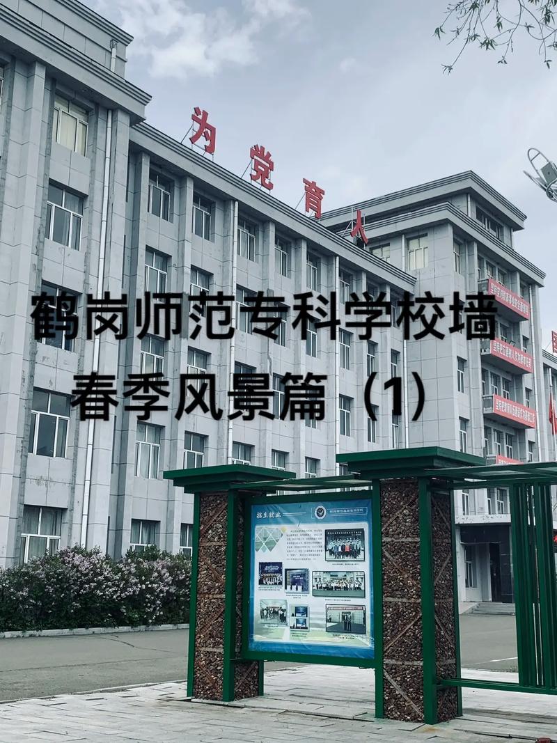 鹤岗有哪些专科学校