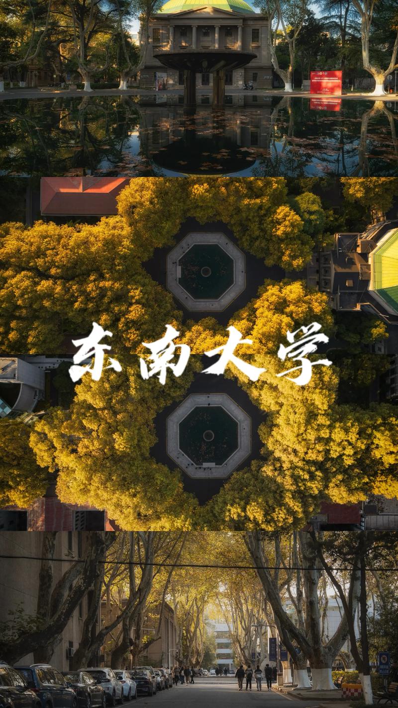 南京东南大学成怎么样