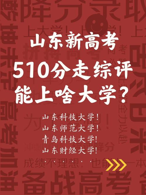 山东高考290能哪个学校