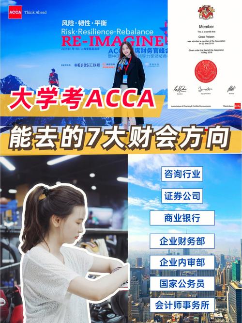 哪个大学招acca