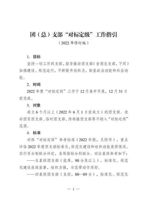 团支部对标定级材料怎么写