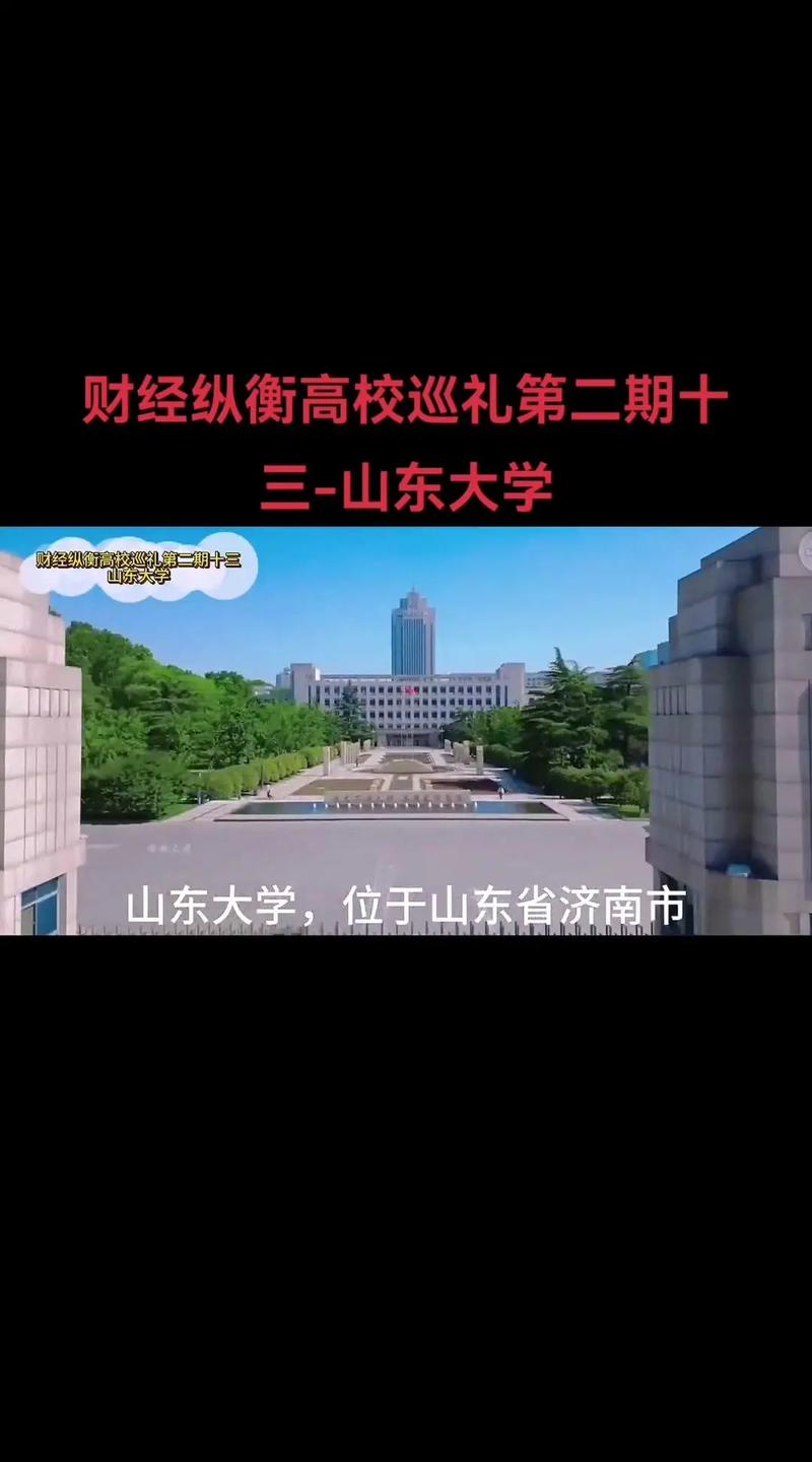 山东哪个学校属于211