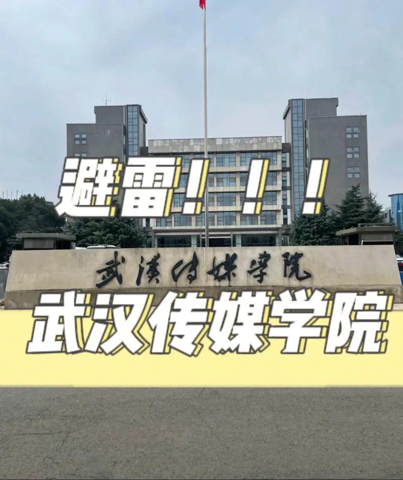 武汉传媒学院属于哪个集团