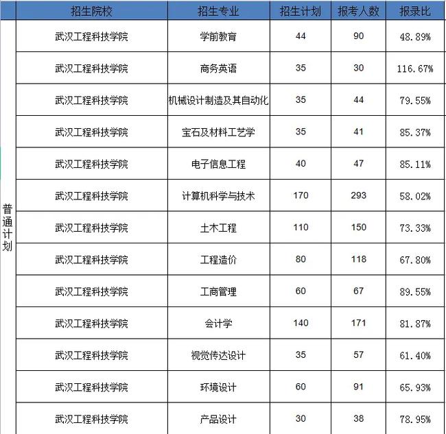 武汉本科学校有哪些专业吗