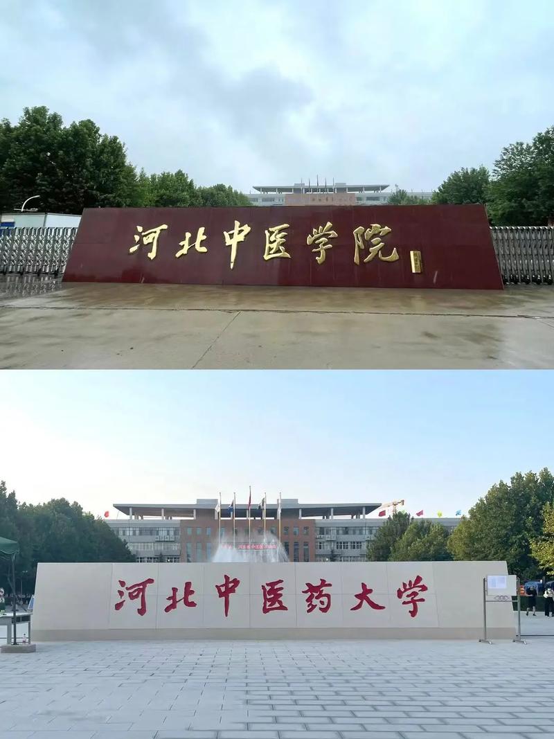 中医药大学是哪个区