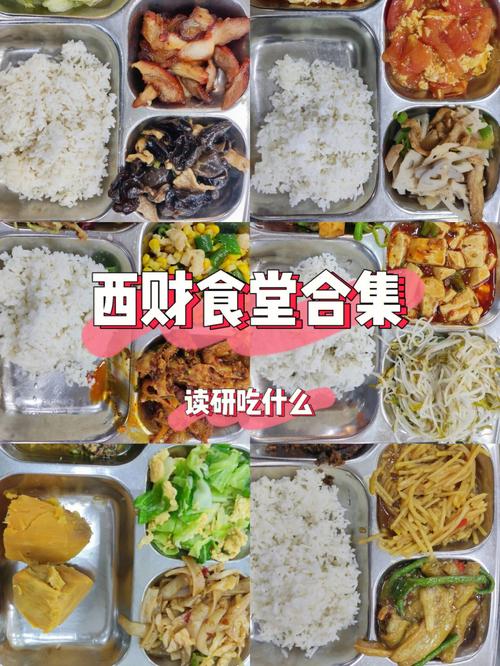 西南财经大学的食堂怎么样