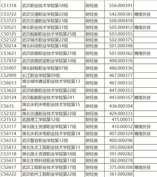 湖北哪个财经大专好