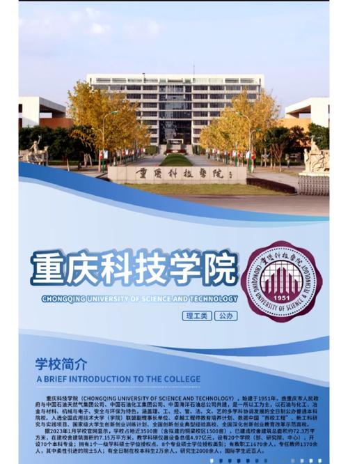 重庆科技学院 哪个专业