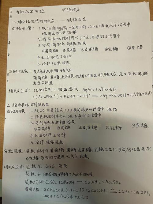 化学学术活动报告怎么写