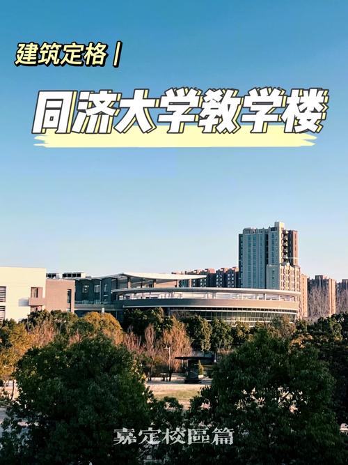 嘉定同济大学信息办在哪里