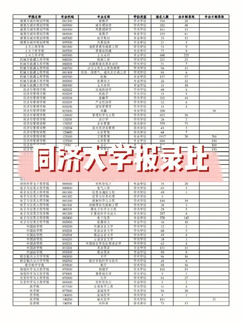 同济大学怎么查报考人数