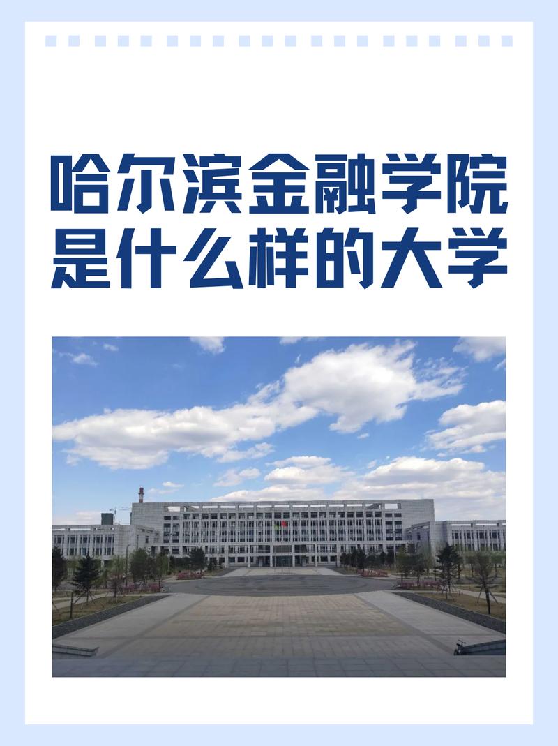 哈尔滨哪个学校金融专业好