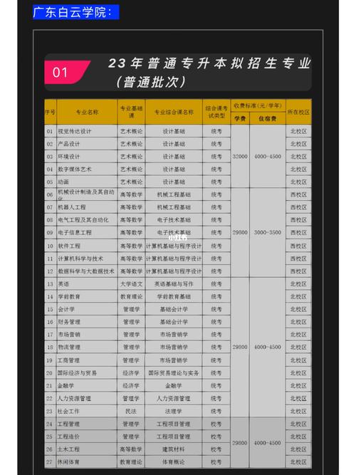 广东白云学院哪个专业热门