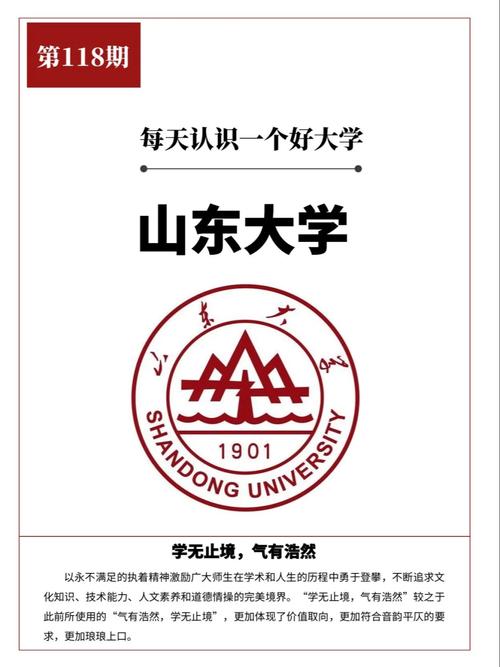 山东大学哪个院系好