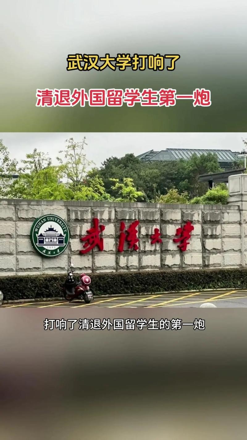 武汉大学本科生院在哪里