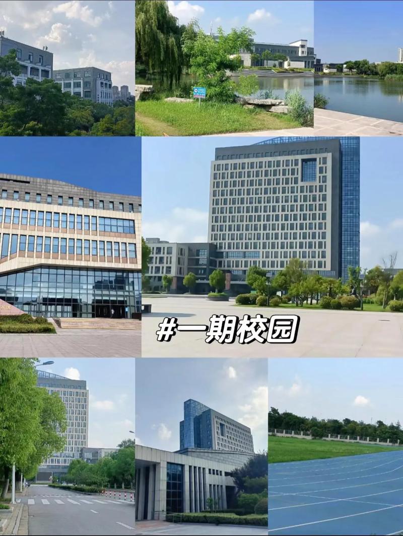 徐工指哪个大学