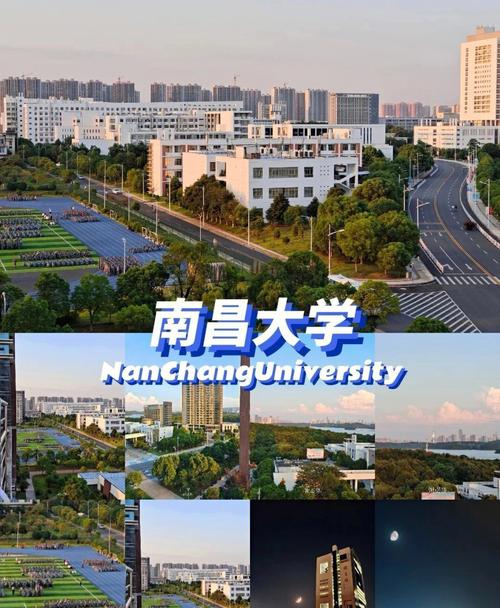 我想上南昌大学英文怎么说