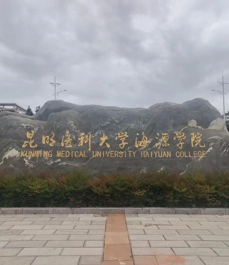 在海源的大学有哪些