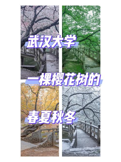 春夏是哪个大学的