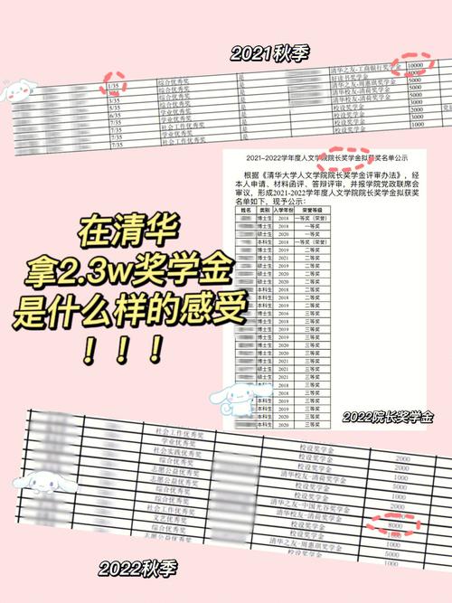 清华核研院有哪些奖学金