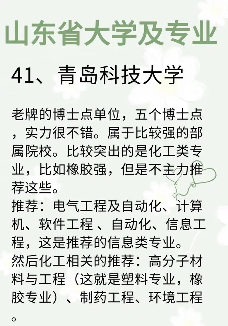 山东本科学校有哪些专业吗