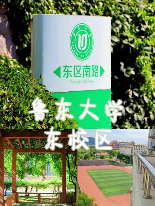 鲁东大学东校区怎么走