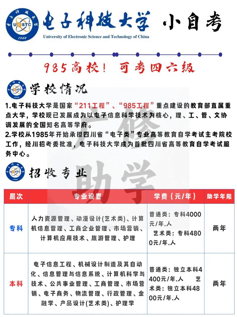 电子科技大学怎么介绍