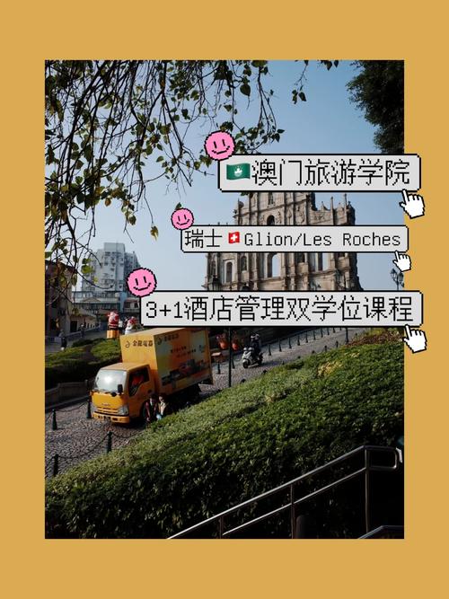 旅游类大学要学哪些课程