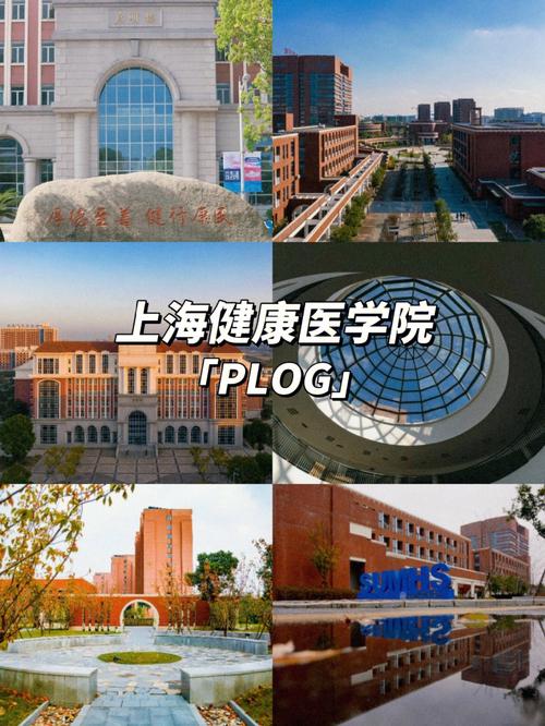 上海读医学校有哪些大学