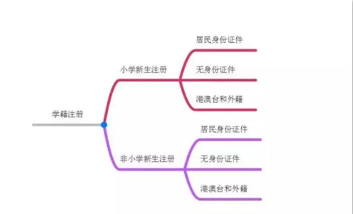 怎么要求学籍管理人员