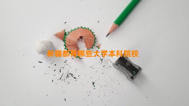 新疆都有哪些大学本科院校