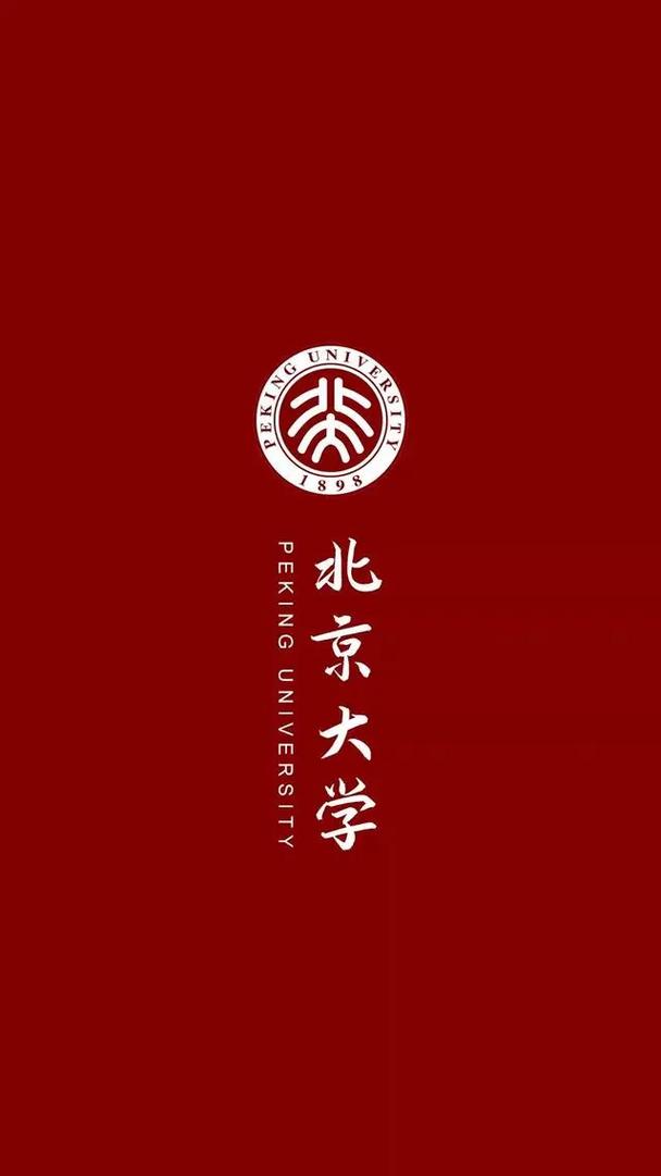 大年哪个大学