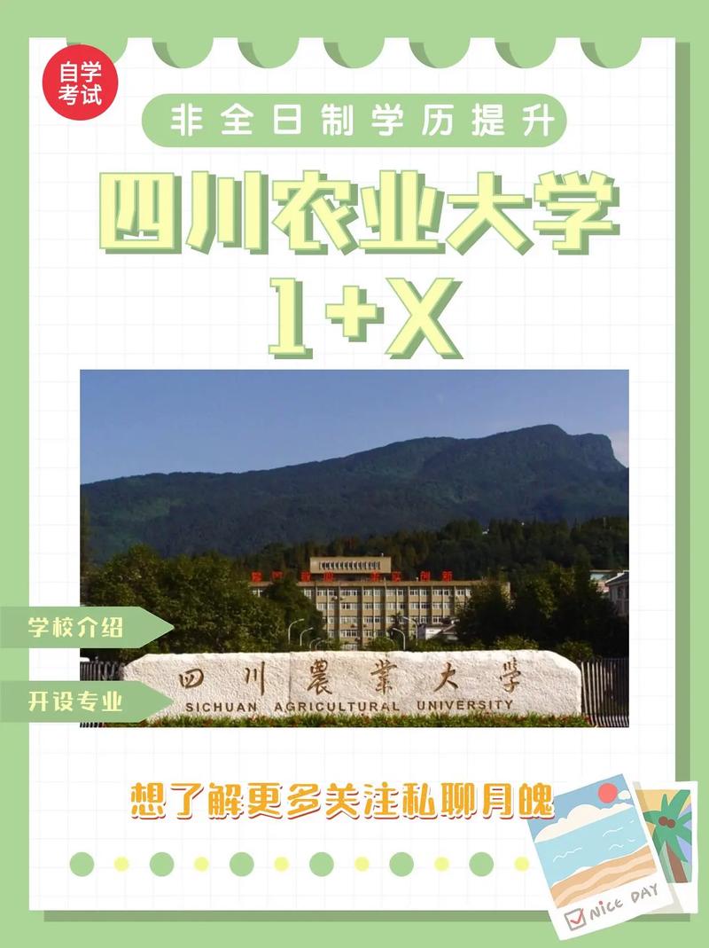 四川农大学校在哪里