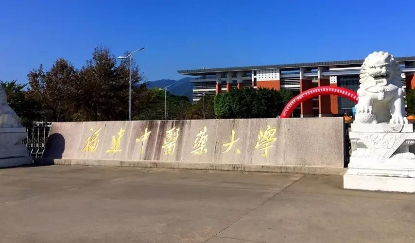 福建中医大学位置在哪里