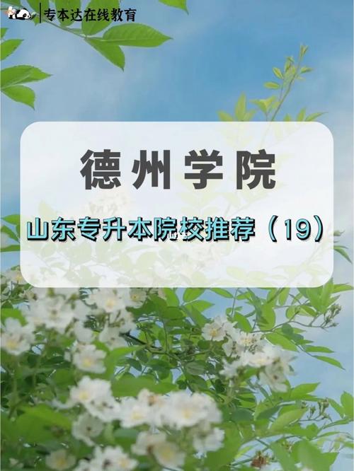 山东德州学院有哪些专业