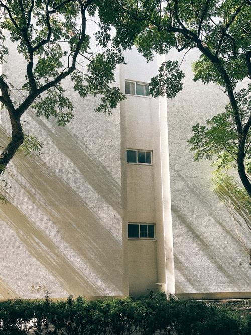 台湾艺术的大学怎么样