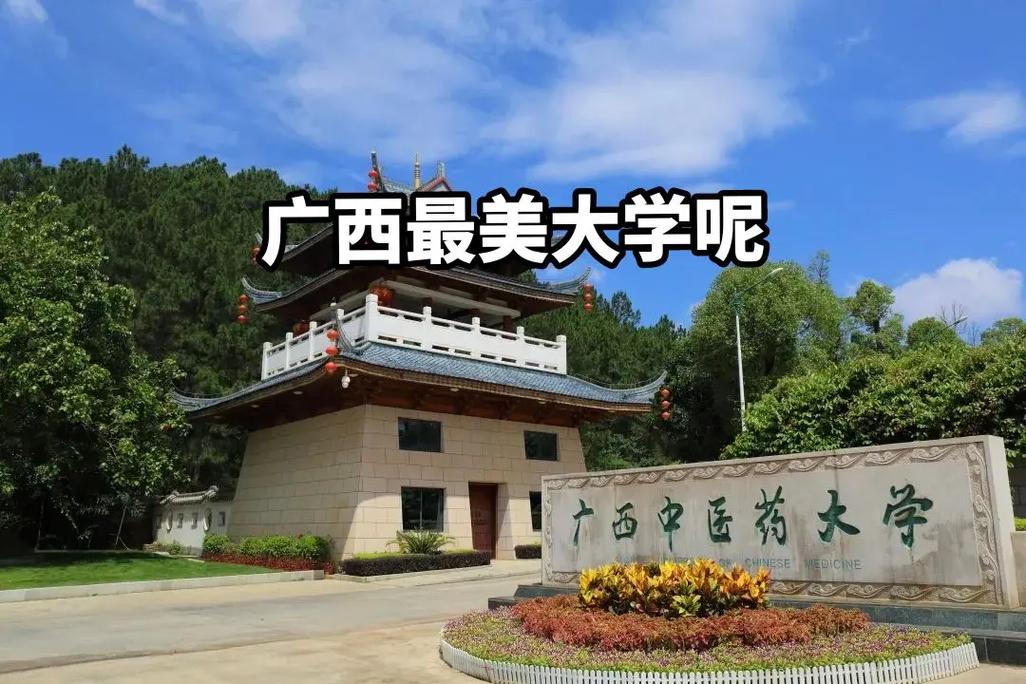 广西中医药大学有哪些