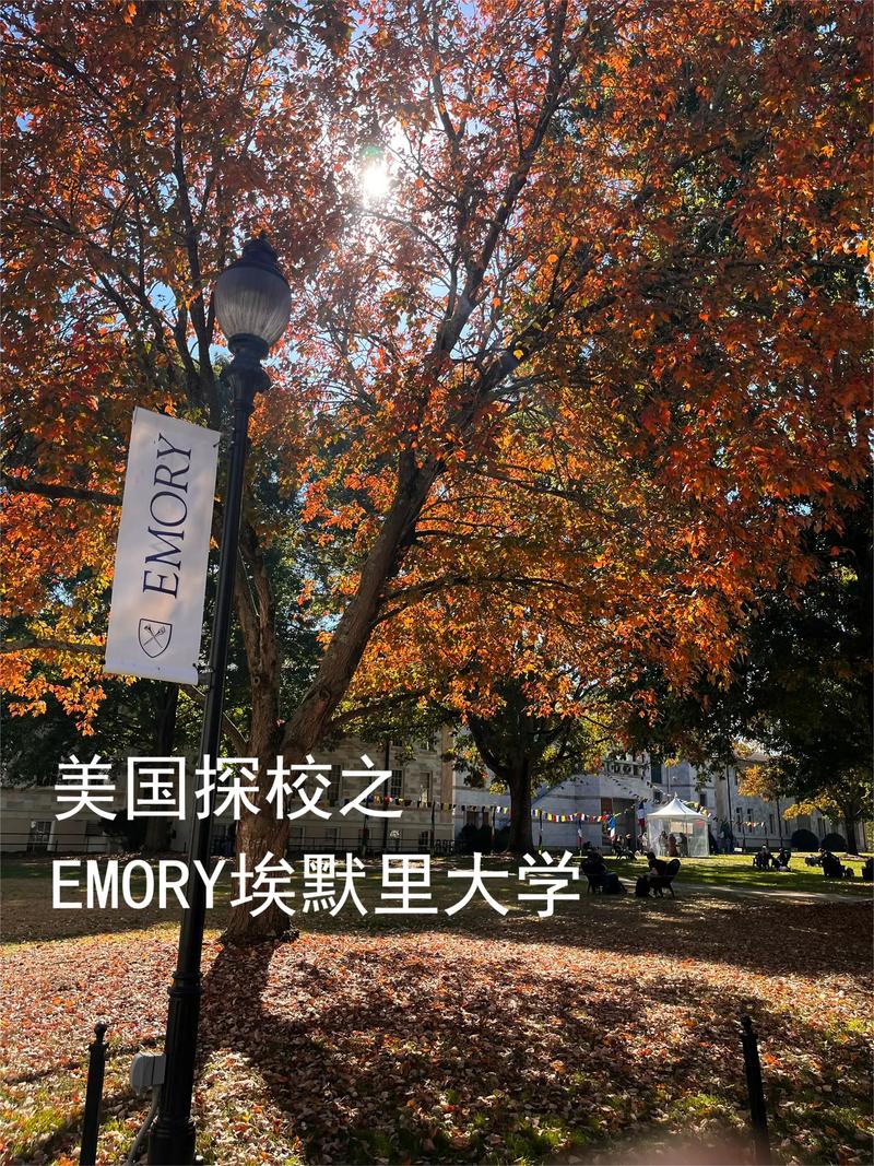 埃默里大学哪个学院好