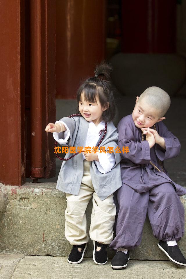 沈阳医学院学风怎么样