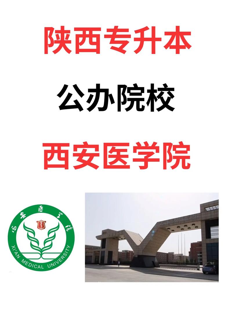 西安哪个大学有医学