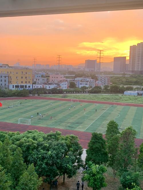 福州大学校本部在哪里