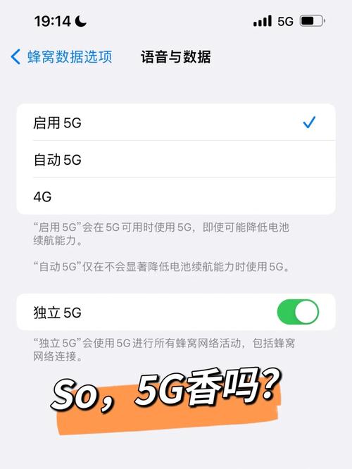 四川大学哪里可以用5G