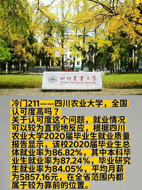 川农大网络教育怎么报名