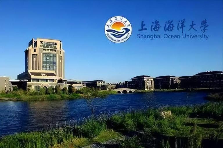 上海哪个大学景色好