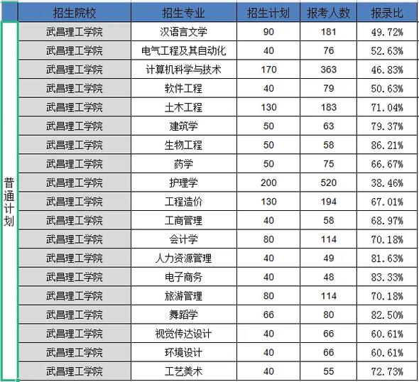 武汉武昌的大学有哪些专业