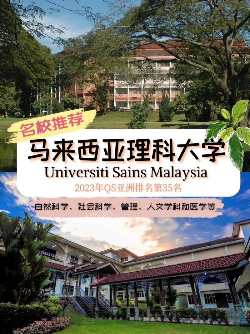 马来西亚的哪些大学好