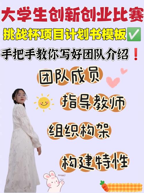 挑战杯项目成员职务哪些