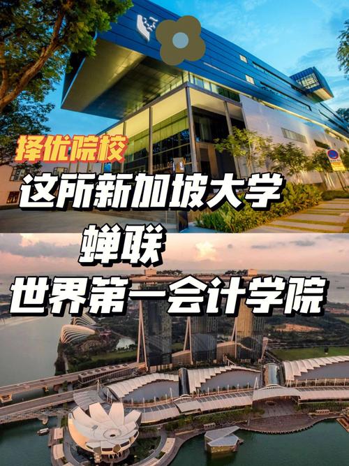 新加坡哪个大学有会计